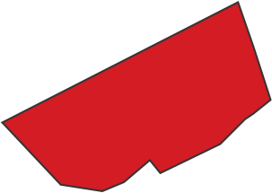 Radijalac